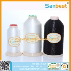 Khám Phá Thế Giới Đầy Hấp Dẫn Của Tinycat99 Lừa Đảo Không Nơi Giao Lưu Đam Mê Thể Thao